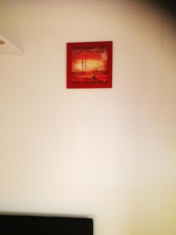 Cosy A Vue Sur Jardin 10 M² Amiens
